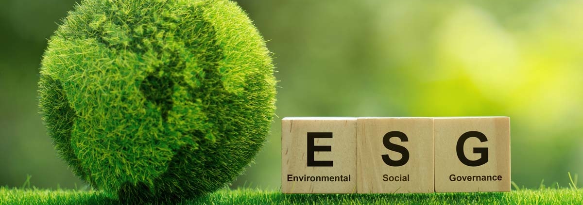 environmental, social and governance